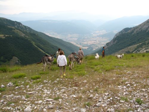 asinelli-9.JPG